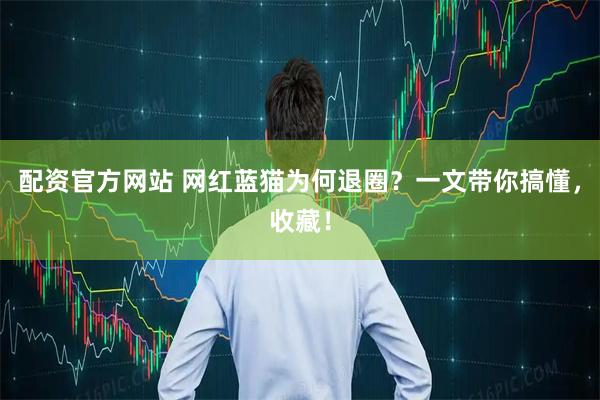 配资官方网站 网红蓝猫为何退圈？一文带你搞懂，收藏！