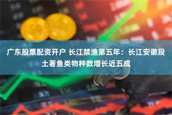 广东股票配资开户 长江禁渔第五年：长江安徽段土著鱼类物种数增长近五成