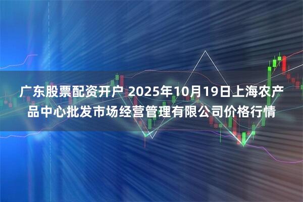 广东股票配资开户 2025年10月19日上海农产品中心批发市场经营管理有限公司价格行情