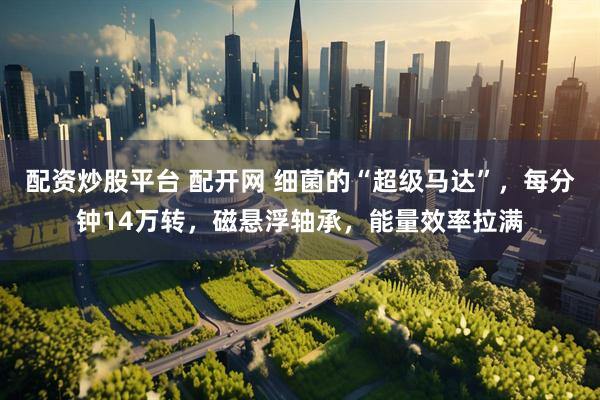 配资炒股平台 配开网 细菌的“超级马达”，每分钟14万转，磁悬浮轴承，能量效率拉满