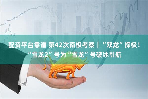 配资平台靠谱 第42次南极考察｜“双龙”探极！“雪龙2”号为“雪龙”号破冰引航