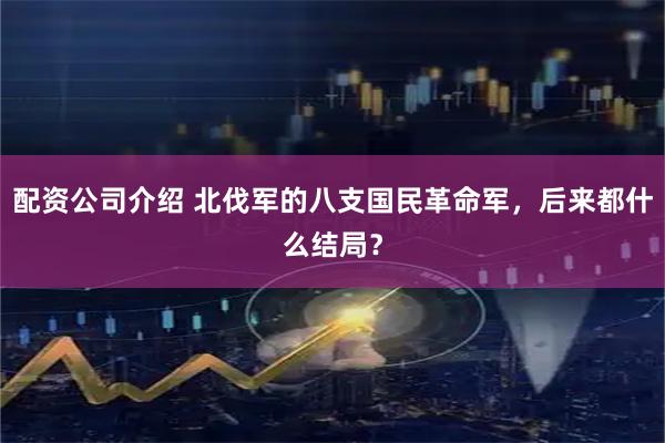 配资公司介绍 北伐军的八支国民革命军，后来都什么结局？