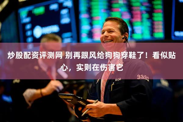 炒股配资评测网 别再跟风给狗狗穿鞋了！看似贴心，实则在伤害它