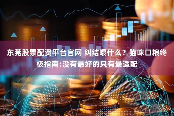 东莞股票配资平台官网 纠结喂什么？猫咪口粮终极指南:没有最好的只有最适配